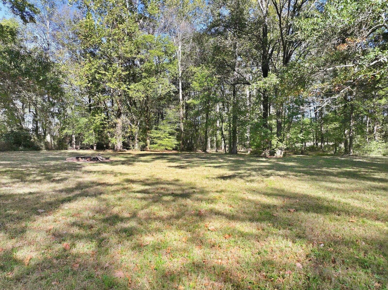 Wooded area on the property at 241 Roberts Creek Circle
